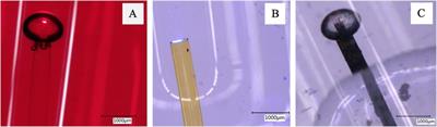 Laser-activated irrigation: Cavitation and streaming effects from dental lasers